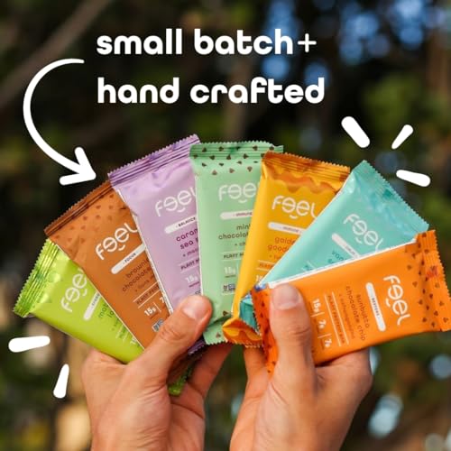 Feel Vegan Protein Bars - Keto, Gluten Free, Organic, 15g Protein - Dairy Free, Low Sugar - Variety Pack (6 Flavors, 6 Pack)