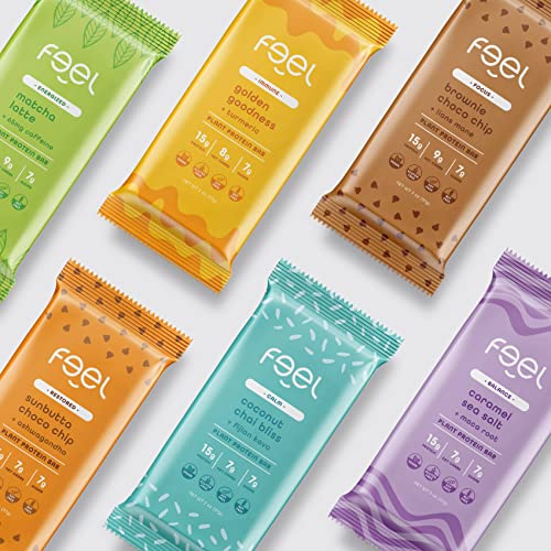 Feel Vegan Protein Bars - Keto, Gluten Free, Organic, 15g Protein - Dairy Free, Low Sugar - Variety Pack (6 Flavors, 6 Pack)