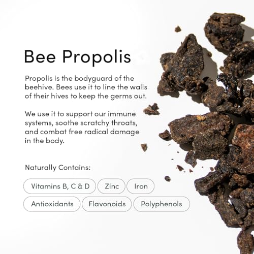 Beekeeper's Naturals Propolis Throat Spray, Natural Immune Support & Sore Throat Relief - Antioxidants, Keto, Paleo, Gluten-Free, 1.06 oz (Pack of 2)