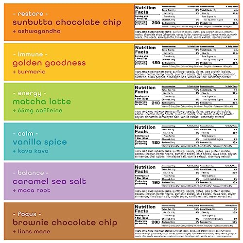 Feel Vegan Protein Bars - Keto, Gluten Free, Organic, 15g Protein - Dairy Free, Low Sugar - Variety Pack (6 Flavors, 6 Pack)