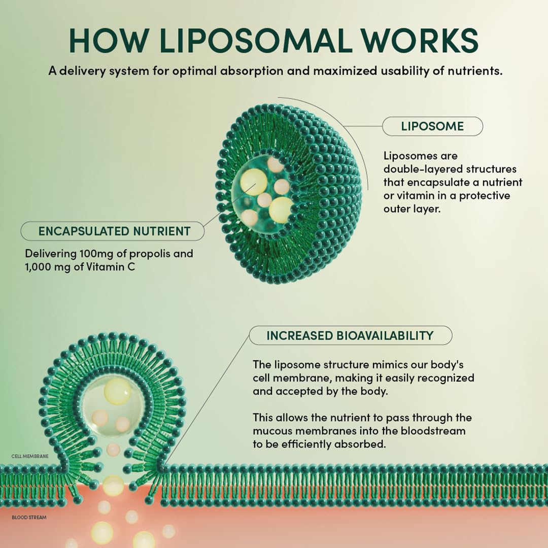 Beekeeper's Naturals Propolis Liposomal with Vitamin C Effective Bio-Available Immune Support Delivery, 30 Ct