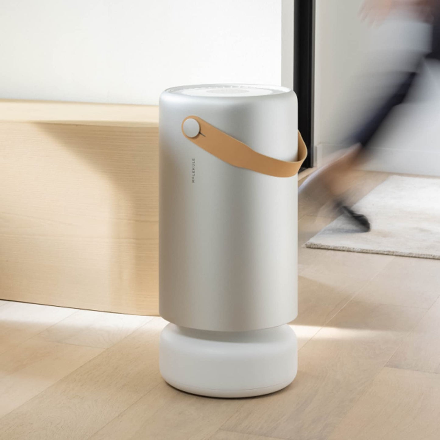 Molekule Air Pro Air Purifier for Large Rooms up to 1000sq. ft. with PECO Technology, Compatible with Alexa, Eliminates Smoke, Mold, Bacteria & Other Pollutants for Clean Air – Silver